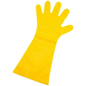 G{X 50 O CG[(ܖ{i)50 S 45/Ɩp/Vi/Ώۏi