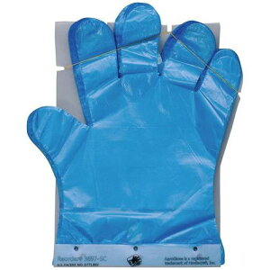 ^b`XfBXyT[pGAO[u(150×67Zbg)u[J[ 3697|SB/Ɩp/Vi/