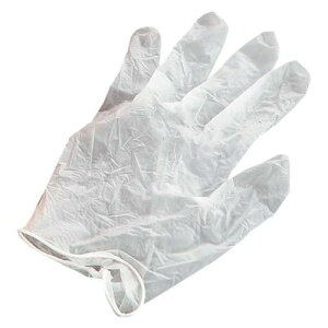 }CWXg PAO[u(100)L/Ɩp/Vi/Ώۏi