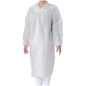 sDz (50)}WbNe[vt  M/Ɩp/Vi/