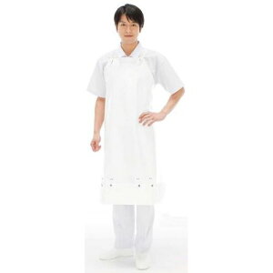 Voo \tghCpO|t 558 LL u[x[/Ɩp/Vi/Ώۏi