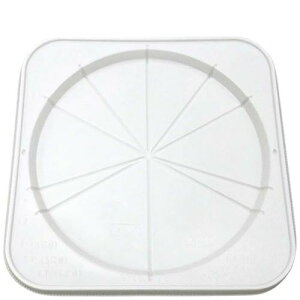 P[Lg[(50)CLfRM5 SE/Ɩp/Vi/Ώۏi