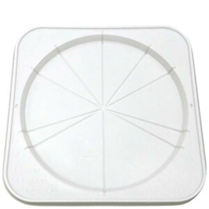 P[Lg[(50)CLfRM8 SE/Ɩp/Vi/Ώۏi