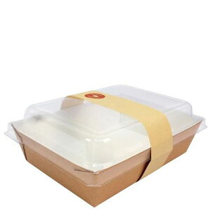 �\���A �����`�{�b�N�X 1000ml(50��)ES32300/�Ɩ��p/�V�i/���������Ώۏ��i