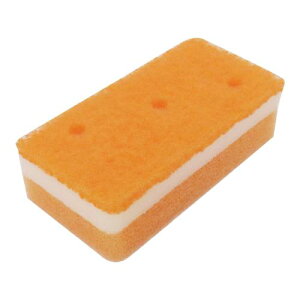 ALbg \tgX|W 50970/Ɩp/Vi/Ώۏi