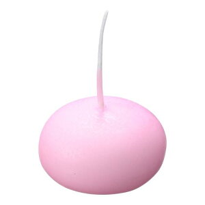 tbgLh(24)40045 sN/Ɩp/Vi/Ώۏi