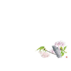 3 e[u}bg(100) ̉ No.520/Ɩp/Vi/Ώۏi