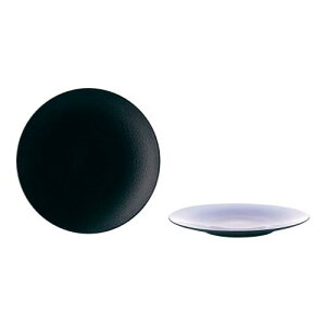 GLmNX fBi[v[g 28cm 649499 LXgACA/Ɩp/Vi/Ώۏi