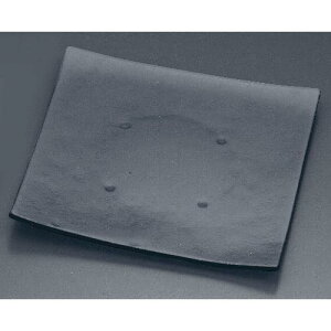 ^CK[OX XNGAv[g310 161-193-00 O[/Ɩp/Vi/Ώۏi