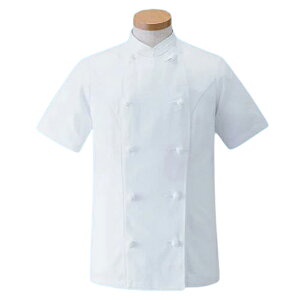 pRbNR[gEKG-428 LL (zCg)/Ɩp/Vi/Ώۏi