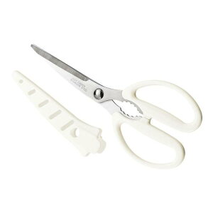 txWX}C TtLb`͂ FVS-406/Ɩp/Vi/Ώۏi