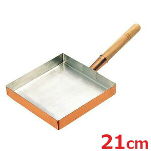 EBM ʎq ֓^ 21cm/Ɩp/Vi