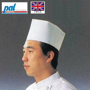 ؖXq 31110 ĝ(50)/vp/Vi /Ώۏi