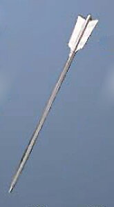 vZbg 33cm H XeX/vp/Vi /Ώۏi