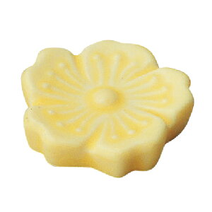 Ԉ CG[ u 10/Ɩp/Vi/Ώۏi