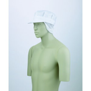 pXqt p 9-806 () /vp/Vi/Ώۏi