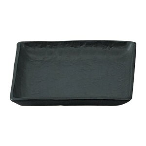 ȂݍlpM 12×12×1.8cm 428-038 (10) /Ɩp/Vi/Ώۏi