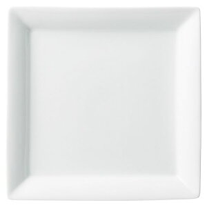 tHe24cmXNGA[v[g 24.3×24.3×2.9cm 523-118/Ɩp/Vi/Ώۏi