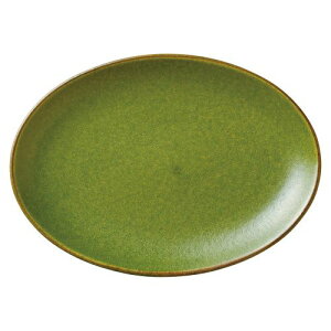 �I���[�u24cm�I�[�o���v���[�g 23.8×17.2×2.5cm 493-028 /453-059/�Ɩ��p/�V�i/���������Ώۏ��i