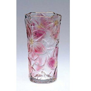 Ԋ yԊ(LG)z 235 ő:134 yƖpHzΏۏi