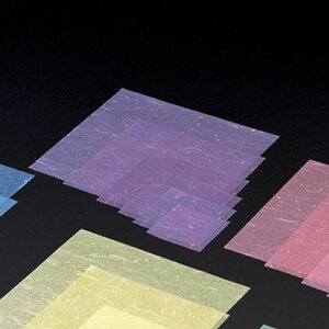 ~l[g  10p(5,000) c10×10(cm)/Ɩp/Vi/