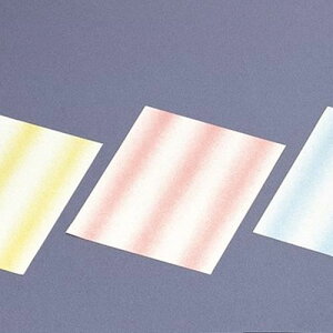 Ȏ ʉ_ (300) c24×19(cm)/Ɩp/Vi/Ώۏi