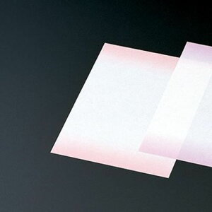 ϖV  (ڂ)(300) c24×19(cm)/Ɩp/Vi/Ώۏi