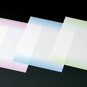 ϖV  (ڂ)(300) c24×19(cm)/Ɩp/Vi/Ώۏi