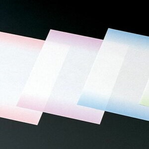 ϖV  (ڂ)(300) c24×19(cm)/Ɩp/Vi/Ώۏi