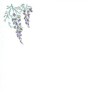 ϖ~ 12p (100) c12×12(cm)/Ɩp/Vi/Ώۏi