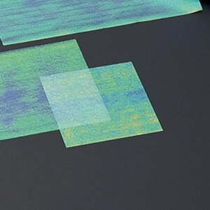 ̎G{X 10p(200) c10×10(cm)/Ɩp/Vi/Ώۏi