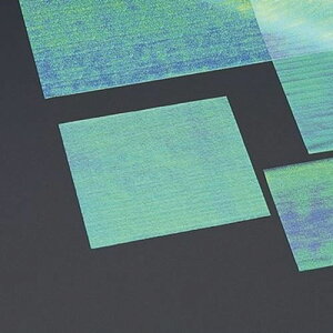 ̎G{X 15p(200) c15×15(cm)/Ɩp/Vi/Ώۏi