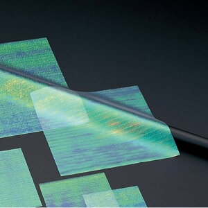 ̎G{X 22.5p(200) c22.5×22.5(cm)/Ɩp/Vi/Ώۏi