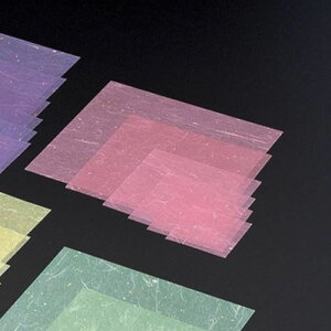 ~l[g  20p(500) c20×20(cm)/Ɩp/Vi/Ώۏi