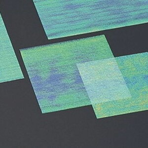 ̎G{X 12p(200) c12×12(cm)/Ɩp/Vi/Ώۏi