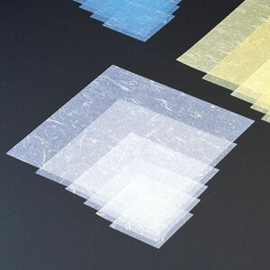 ~l[g  12p(500) c12×12(cm)/Ɩp/Vi/Ώۏi