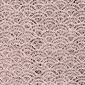 肤~ Cg (100) c15×15(cm)/Ɩp/Vi/Ώۏi