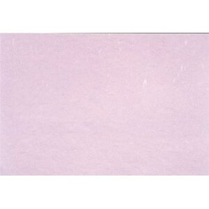 肤~3 玆(100) c26.5×39(cm)/Ɩp/Vi/Ώۏi