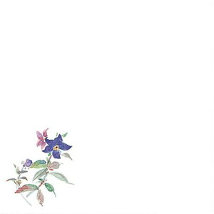 �ϖ����~ 15�p �����傤(100����) �c15×��15(cm)/�Ɩ��p/�V�i/���������Ώۏ��i