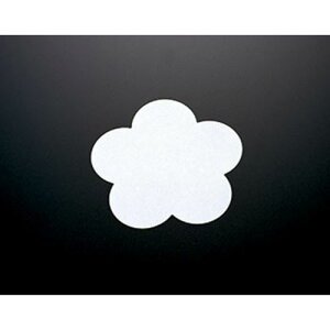 ϖV ~(100) 16(cm)/Ɩp/Vi/Ώۏi