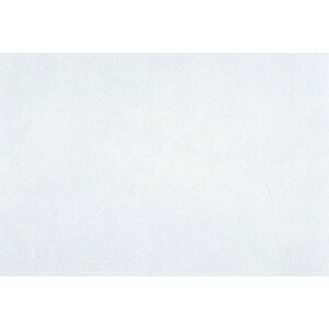 肤~3 ԏ (100) c26.5×39(cm)/Ɩp/Vi/Ώۏi