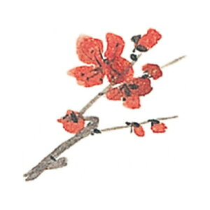 ϖ~ 12p ~(1000)/Ɩp/Vi/Ώۏi