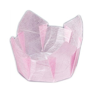 OJbv _ () 200/Ɩp/Vi/Ώۏi