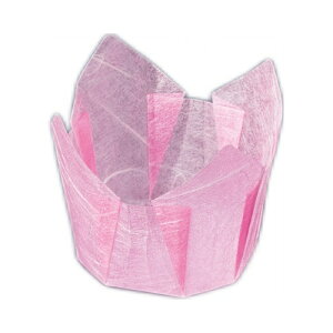 OJbv _ () 200/Ɩp/Vi/Ώۏi