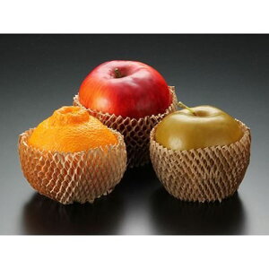 ʗp pbNX^C t[cLbv Nyweecoz(1000)/Ɩp/Vi/