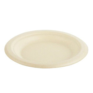 pbNX^C M BBۃv[g160(1000)/Ɩp/Vi/Ώۏi