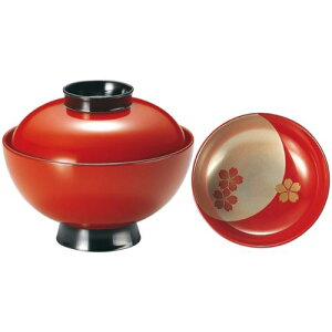 4it˘o Ԃ(hAG/Ɩp/Vi/