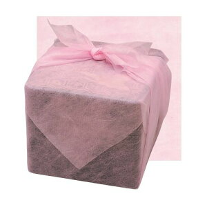 C~ sN 55cm p (200)/Ɩp/Vi/Ώۏi