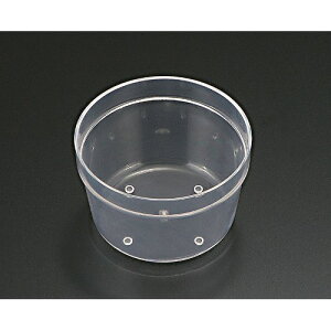 6.5pPCd؊Q^Cv /Ɩp/Vi/Ώۏi