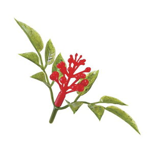   V (PE)(200)/Ɩp/Vi/Ώۏi